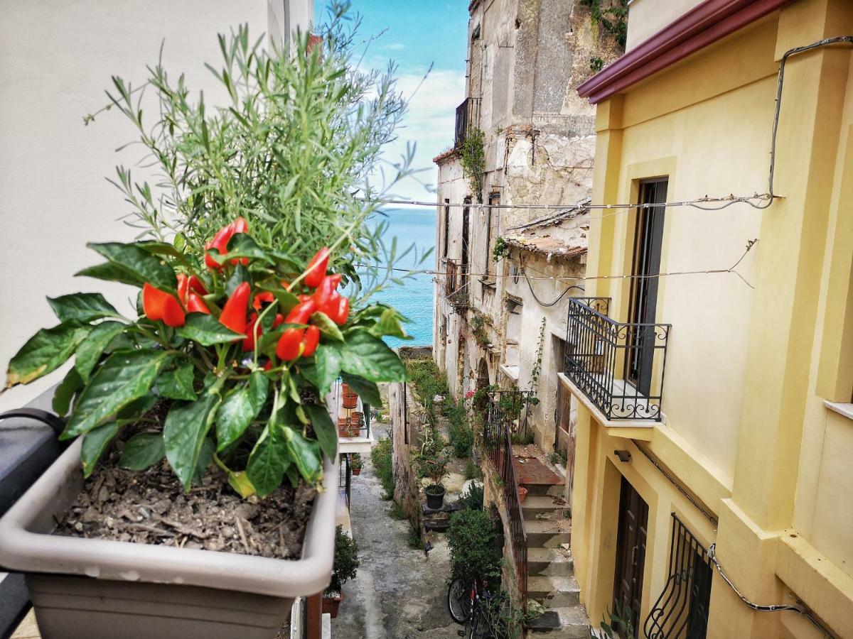 A casa di Noemi Pizzo (Calabria) Exterior foto